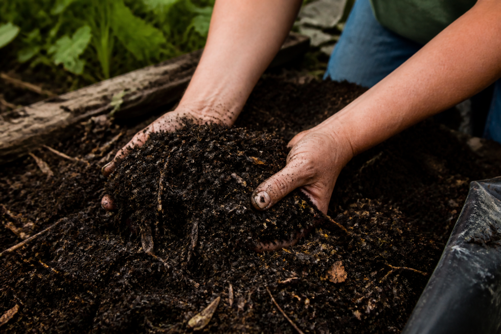 Mains ameublissant sol noir avec compost